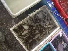 -霞涌市场海鲜摆卖区