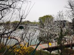 -郭守敬纪念馆