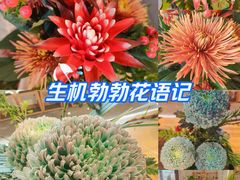 -中国茶叶博物馆(双峰馆区)