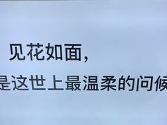 -海市蜃楼花园主题餐厅(石顶店)