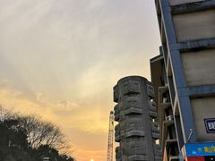 -乡土黄·鲜牛肉火锅·小龙虾(兴业街店)