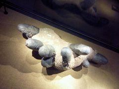 android_upload_pic-中华赏石园