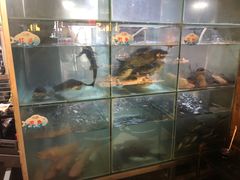 -蛙鱼道美蛙鱼自助火锅(新耍都店)