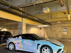 -天猫养车贴膜轻改·蓝电(优匹康桥东路店)