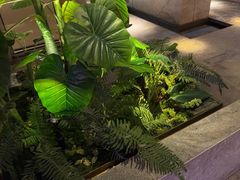 -浅深(北京北四环精品店)