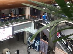 -上海市东方医院(总院)