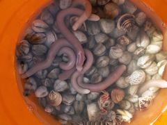 -北海金海湾红树林生态旅游区