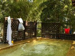 -春晖园度假酒店温泉