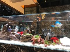 -红辣椒·川菜·火锅(大洋中心店)