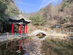 -王顺山国家森林公园
