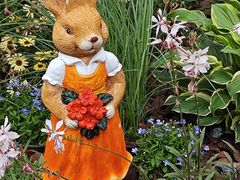 -武汉园博园(武汉自然博物馆)