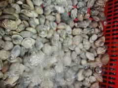 -巽寮印象美食部落餐厅·海鲜·地方特色菜(惠州体验店)