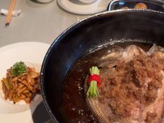 -芙蓉堂(武汉天地店)