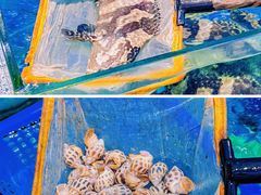 -四川小胡子海鲜(丁村万人海鲜广场店)