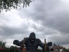 -太阳部落