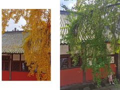 -金堂县云顶石城风景区