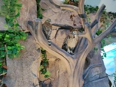 -西霞口神雕山野生动物世界