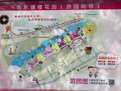 -高东镇樱花园