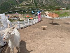 -桑干河大峡谷旅游区