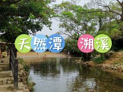 -杨梅坑