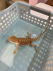 -Moni星球萌宠·小马宝莉·灵蛇·高端高阶全萌宠互动体验俱乐部(红豆国际广场店)