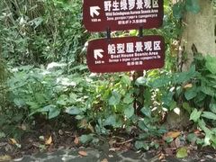-呀诺达热带雨林