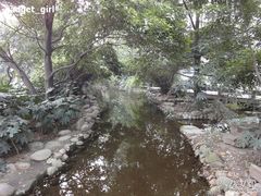-成都市活水公园