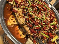 -锦尚阁烤鱼(望京新荟城店)