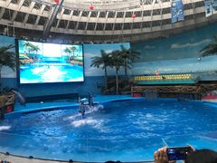 -海合安成都极地海洋公园