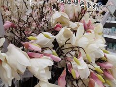 -宜家家居(哈尔滨商场店)