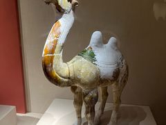 -宁夏博物馆