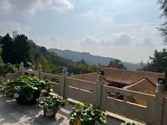 -遵化市禅林寺古银杏风景园