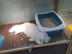 -乐宠宠物店(世纪金源店)