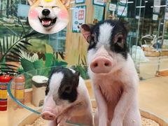 -万达广场(扬州邗江店)