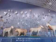 -中国湿地博物馆