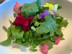 -AZUR聚(香格里拉饭店)