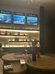 -丽妍雅集 Rubis SPA