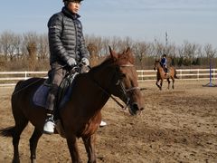 -月河湾马术俱乐部(朝阳店)