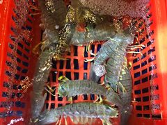 椒盐皮皮虾-79号渔船海鲜饭店(华强北店)