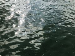-铁桥