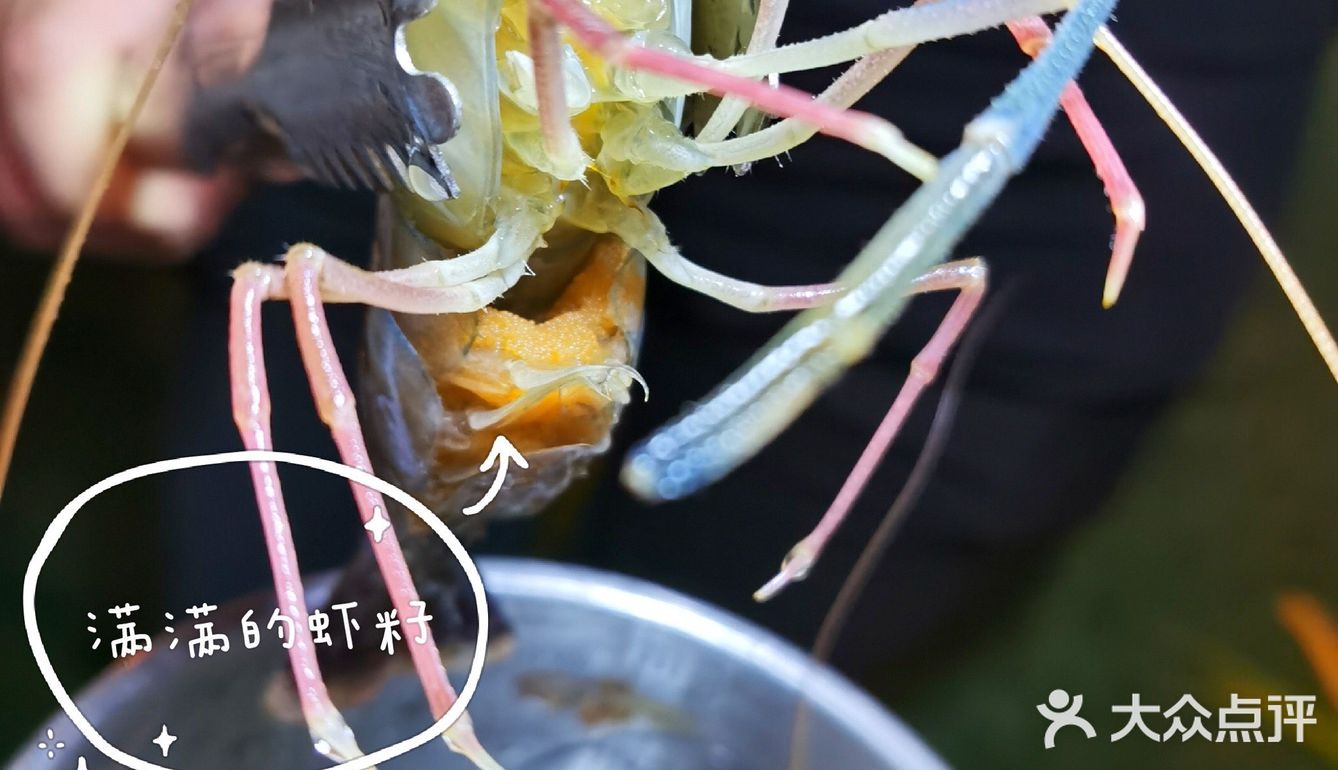 南宁首家罗氏虾主题餐厅 捞活虾真快乐[加油][加油]