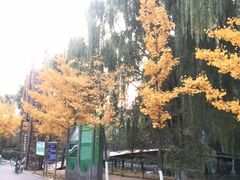 -长白岛森林公园
