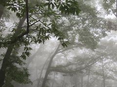 -沂蒙山旅游区云蒙景区(蒙山国家森林公园)
