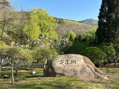 -棒棰岛宾馆景区