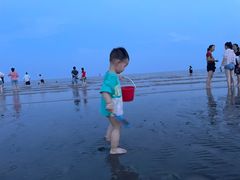 -奉贤海滩