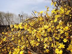 -永定河休闲森林公园