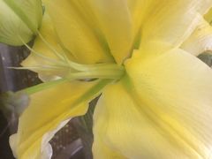 -山西路百货大楼