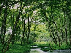 -西溪南古村落景区