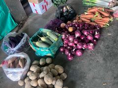 -岳各庄批发市场(西四环中路店)