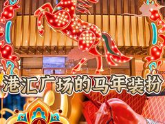 -港汇恒隆广场